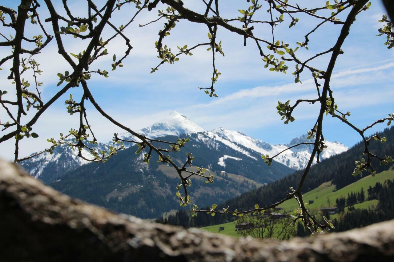 Moahof Alpbach Exterior foto